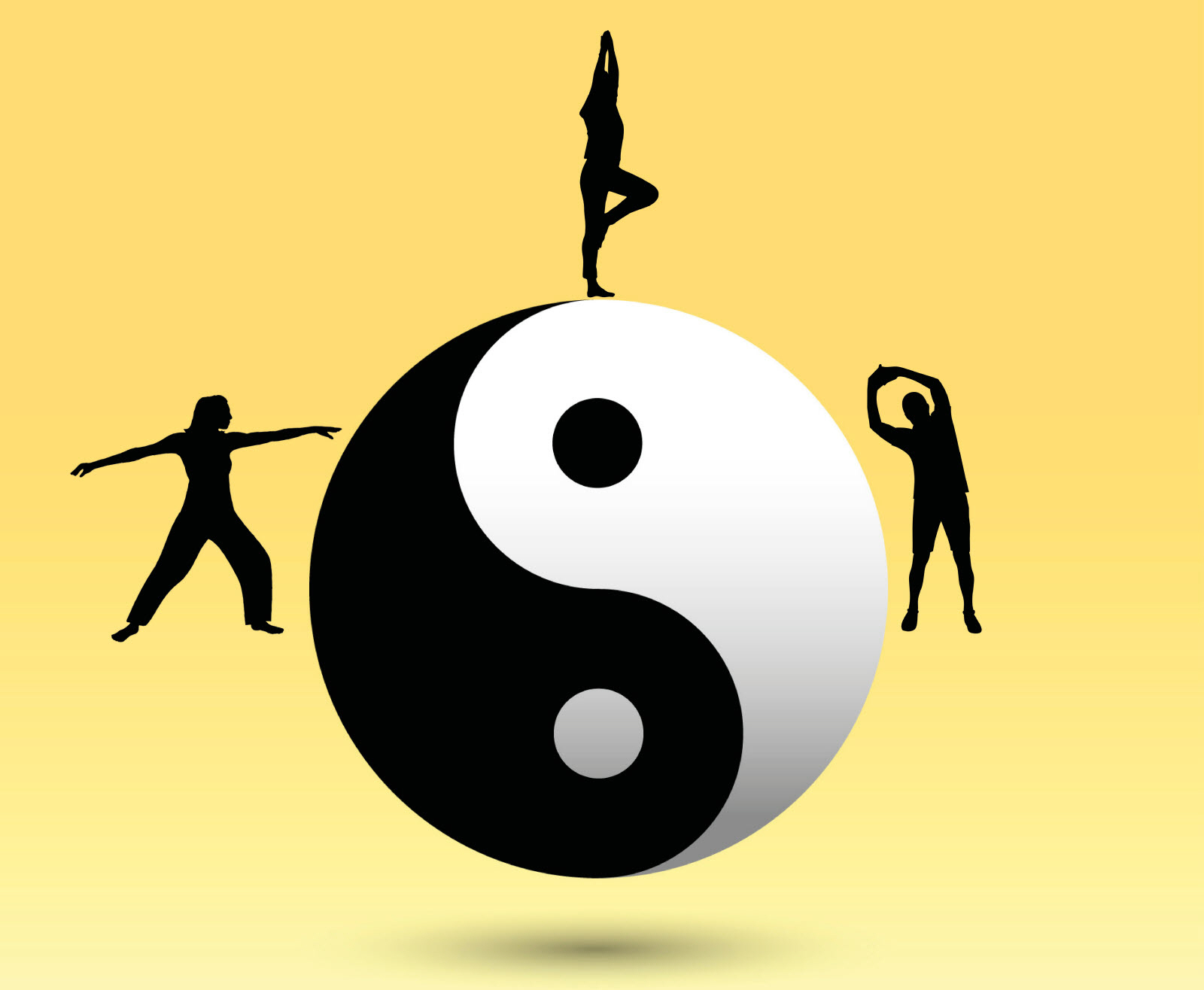 Qi Gong Lyon 1